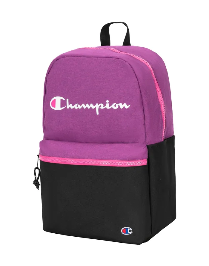 Ascend Backpack 20 Pinkpurple MenWomen Champion Bags and Backpacks