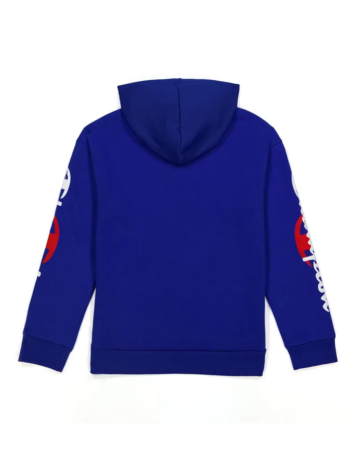 Big Kids039 Fleece And Mesh Hoodie Script Over C Logos Surf The Web Kids Champion Hoodies and Sweatshirts