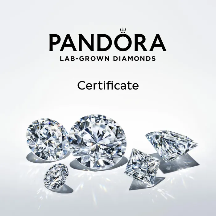 Dangle Charms Women Pandora Online Talisman 14k Gold Labgrown Diamond Horseshoe Pendant