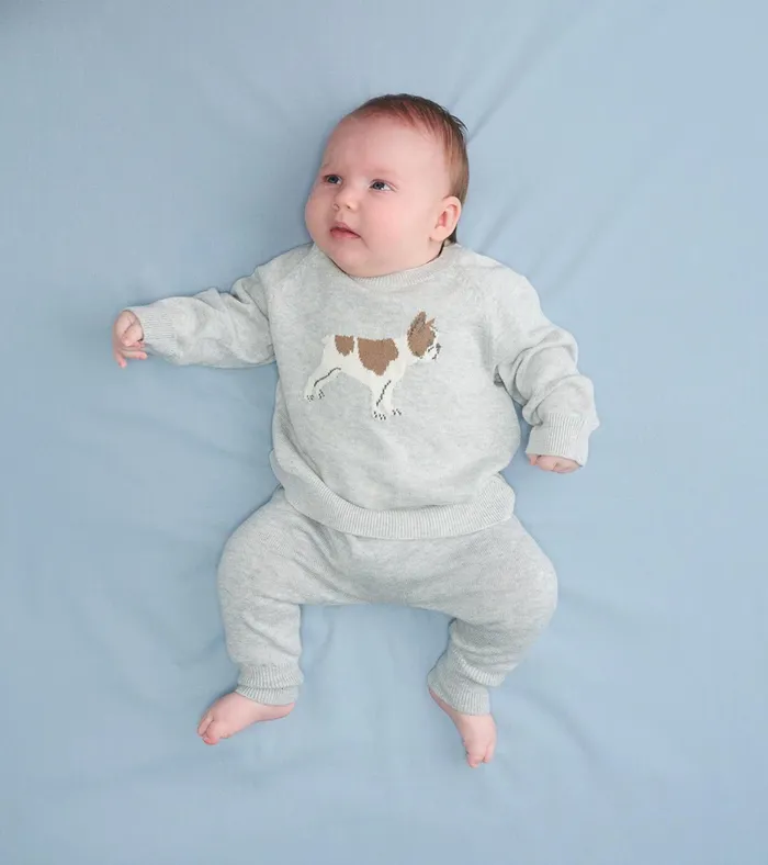 Hatley Baby Boys Little Bulldog Pullover Sweater and Pants Baby and Toddler Sweaters