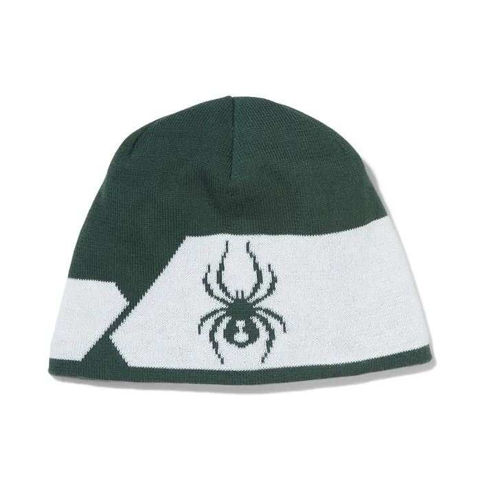 Hats Mens Spyder Shelby Beanie 8211 Cypress Green