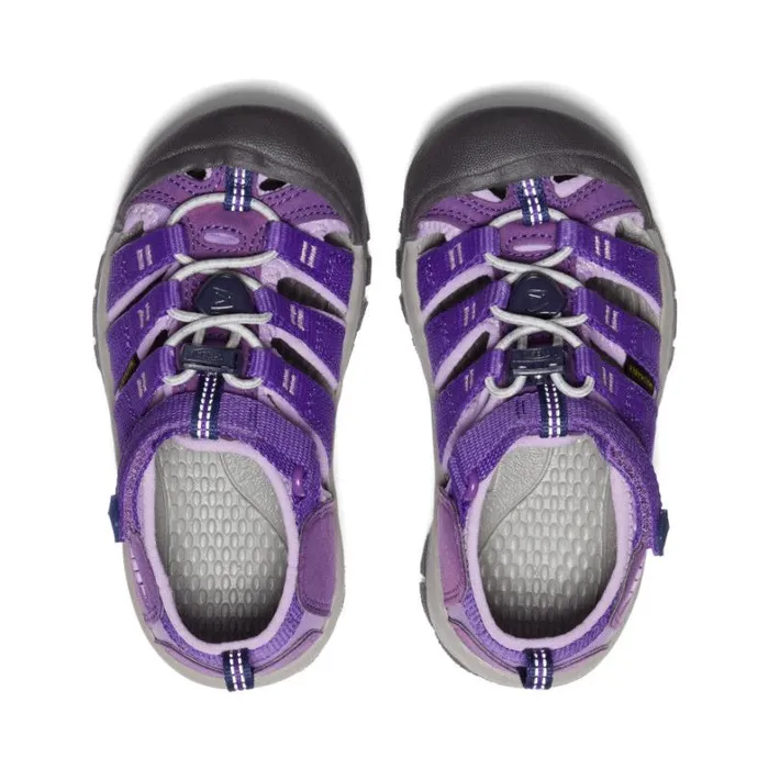 Kids KEEN Hike Little Kids039 Purple Water Hiking Sandals 8211 Newport H2 Kids KEEN Hike Little Kids039 Purple Water Hiking Sandals 8211 Newport H2