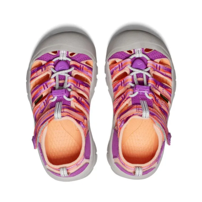 Kids KEEN Online Little Kids039 Newport H2 WillowherbTangerine Sandal Kids KEEN Online Little Kids039 Newport H2 WillowherbTangerine Sandal