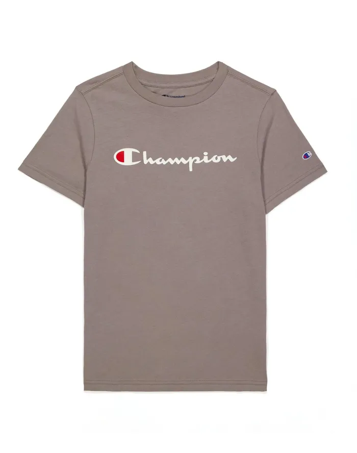 Little Kids039 ShortSleeve TShirt Script Logo Sandalwood Grey Kids Champion TShirts