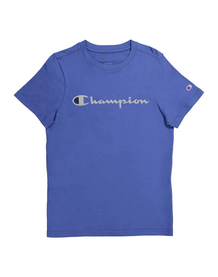 Little Kids039 ShortSleeve TShirt Script Logo Stone Crush Blue Kids Champion TShirts