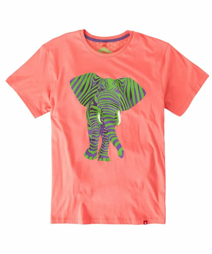 Men Joe Browns Superb Stripe Elephant Tee Pink Men Joe Browns Superb Stripe Elephant Tee Pink