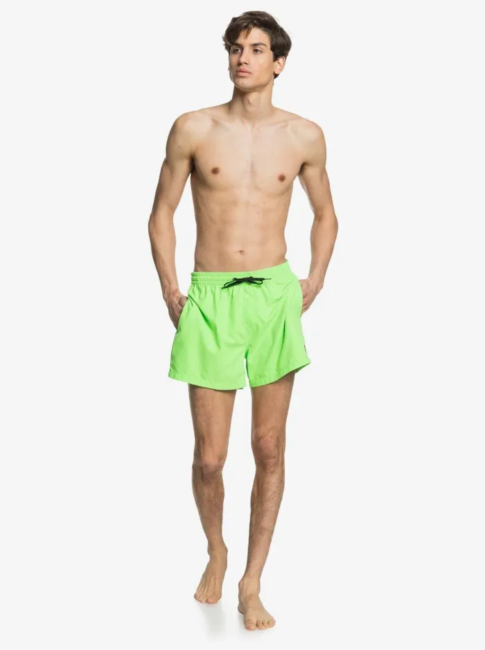 Men Quiksilver Boardshorts Everyday 15034 Volleys Green Gecko Men Quiksilver Boardshorts Everyday 15034 Volleys Green Gecko
