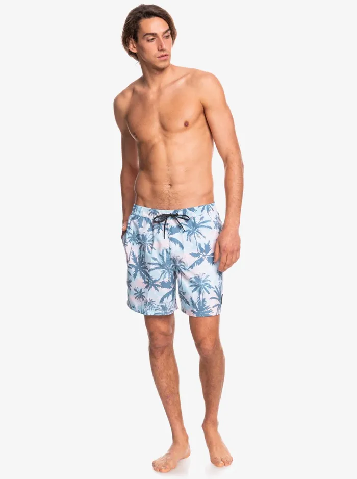 Men Quiksilver Boardshorts Everyday Mix 17034 Volleys Blue Grey Men Quiksilver Boardshorts Everyday Mix 17034 Volleys Blue Grey