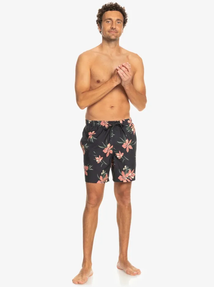Men Quiksilver Boardshorts Everyday Mix 17034 Volleys Tarmac Men Quiksilver Boardshorts Everyday Mix 17034 Volleys Tarmac