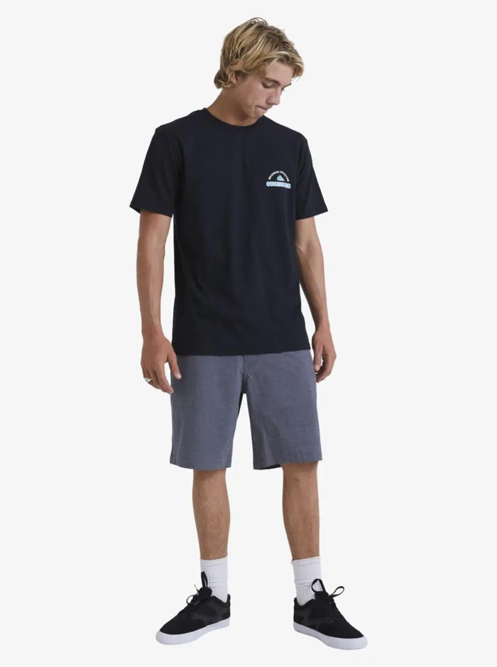 Men Quiksilver Boardshorts Waterman Backwater 20034 Amphibian Boardshorts Black Men Quiksilver Boardshorts Waterman Backwater 20034 Amphibian Boardshorts Black
