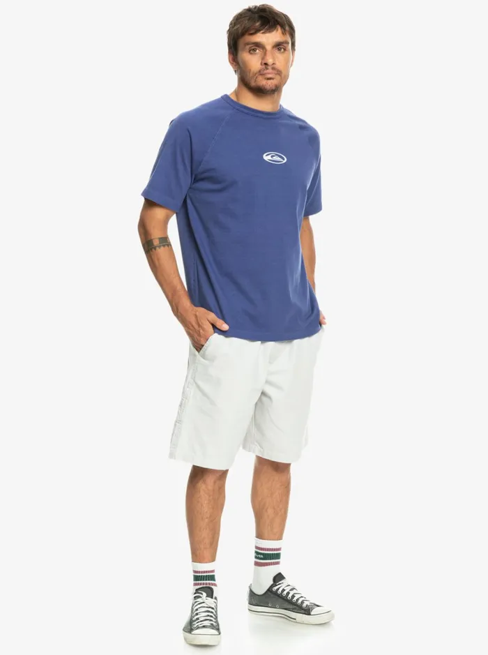 Men Quiksilver Shorts and Amphibians Saturn Elasticized 21034 Shorts Gray Violet Men Quiksilver Shorts and Amphibians Saturn Elasticized 21034 Shorts Gray Violet