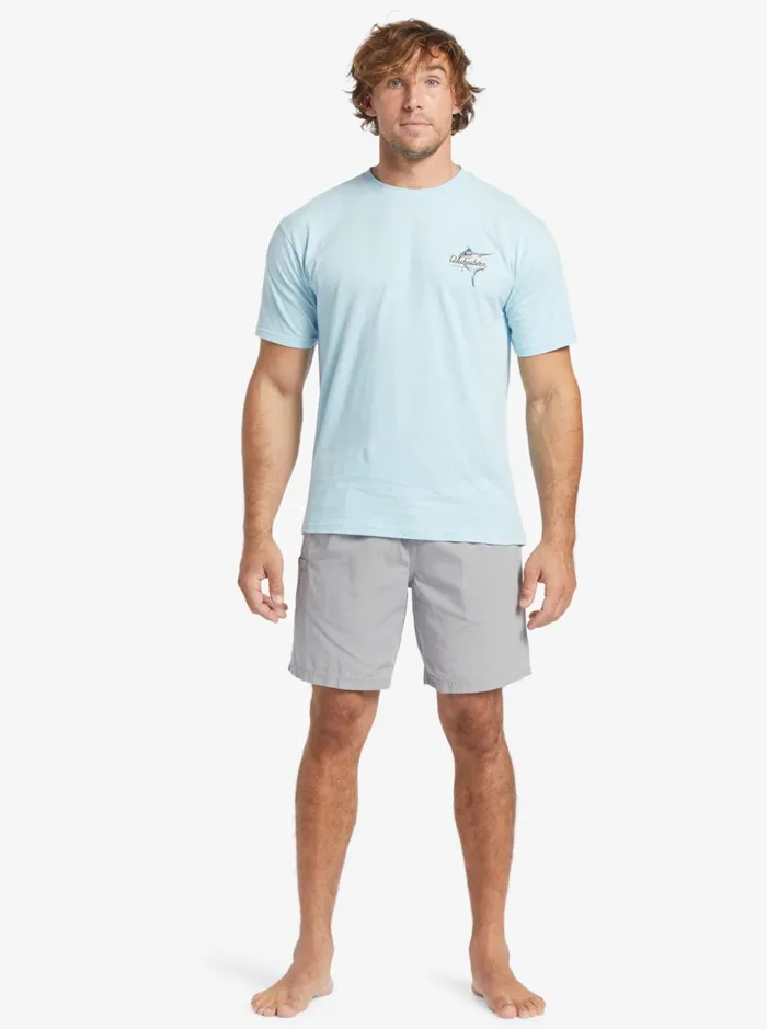 Men Quiksilver Shorts and Amphibians Waterman Last Light Elastic Waist 19034 Shorts Sharkskin Men Quiksilver Shorts and Amphibians Waterman Last Light Elastic Waist 19034 Shorts Sharkskin