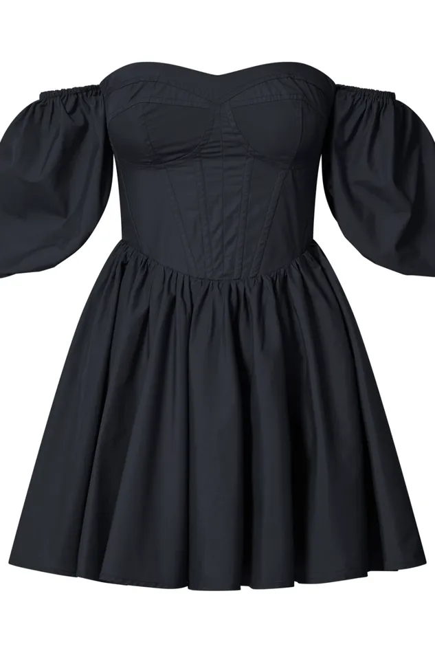 Souza Mini Dress 8211 Fit And Flare Puff Sleeve Corset Dress In Black Women Showpo Dresses