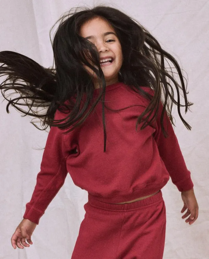 Sweatshirts Little039s The Great The Little College Sweatshirt Sweet Plum