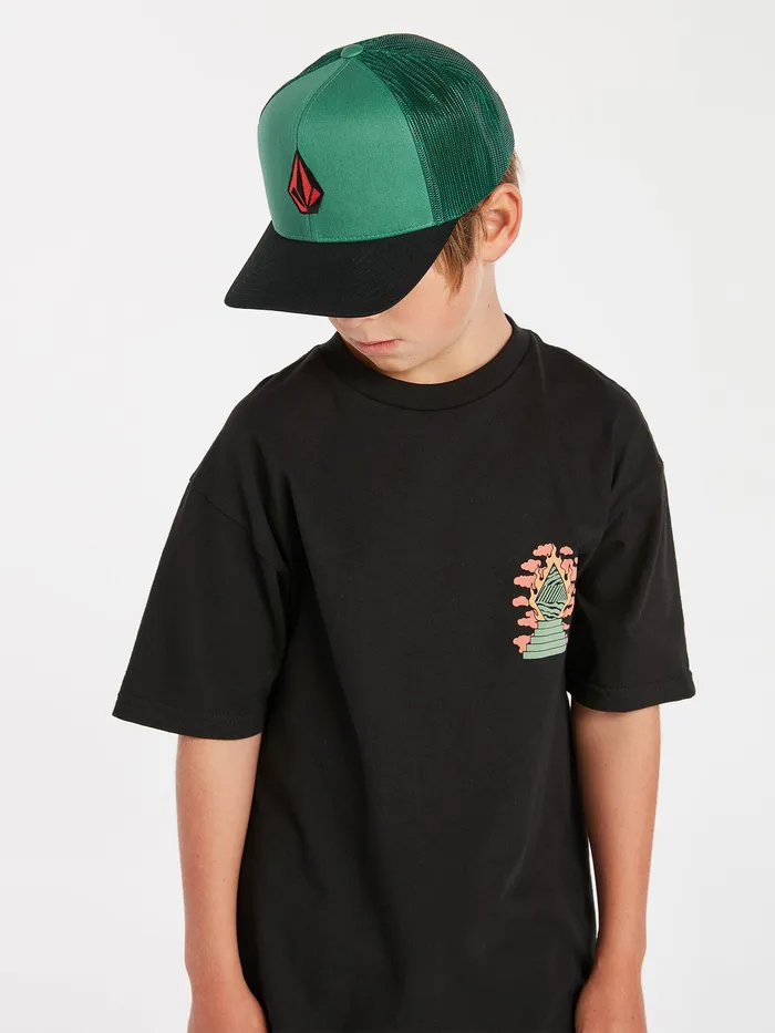 Volcom Accessories Big Boys Full Stone Cheese Hat 8211 Fir Green Fir Green 8211 Boys