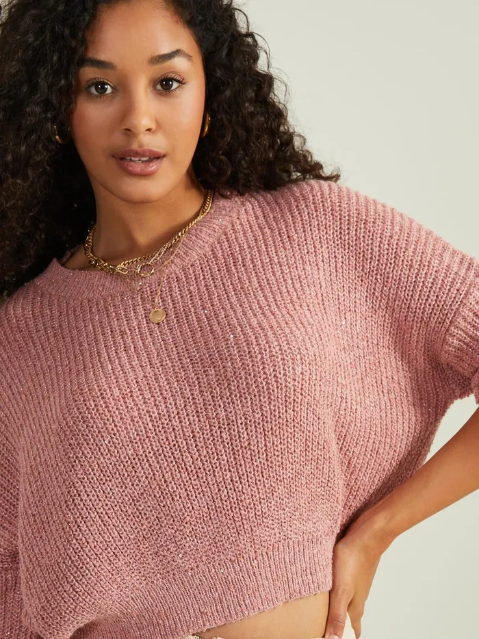 Women Altar039d State Sweaters Astra Sequin Cropped Sweater Mauve