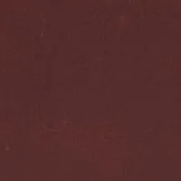 Women Belts Victoria Beckham Jumbo Frame Belt In Burgundy Leather