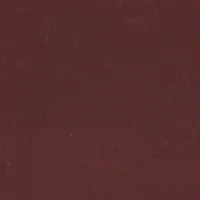 Women Belts Victoria Beckham Jumbo Frame Belt In Burgundy Leather