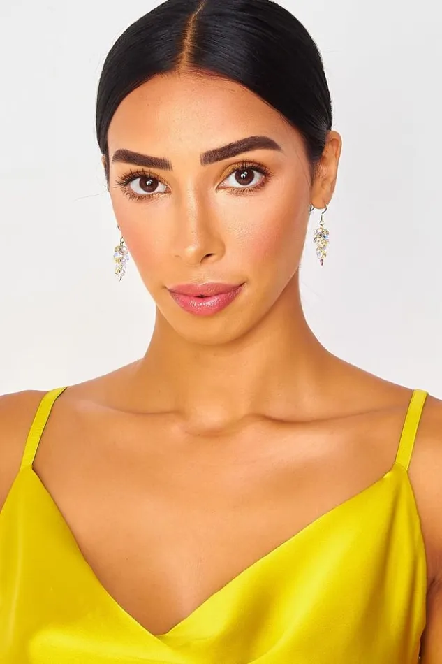 Women Golden Rhinestone Cluster Earrings Golden Brentiny Paris Earrings