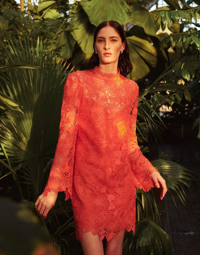 Women Lila Lace Tunic Dress Orange Monsoon Occasionwear