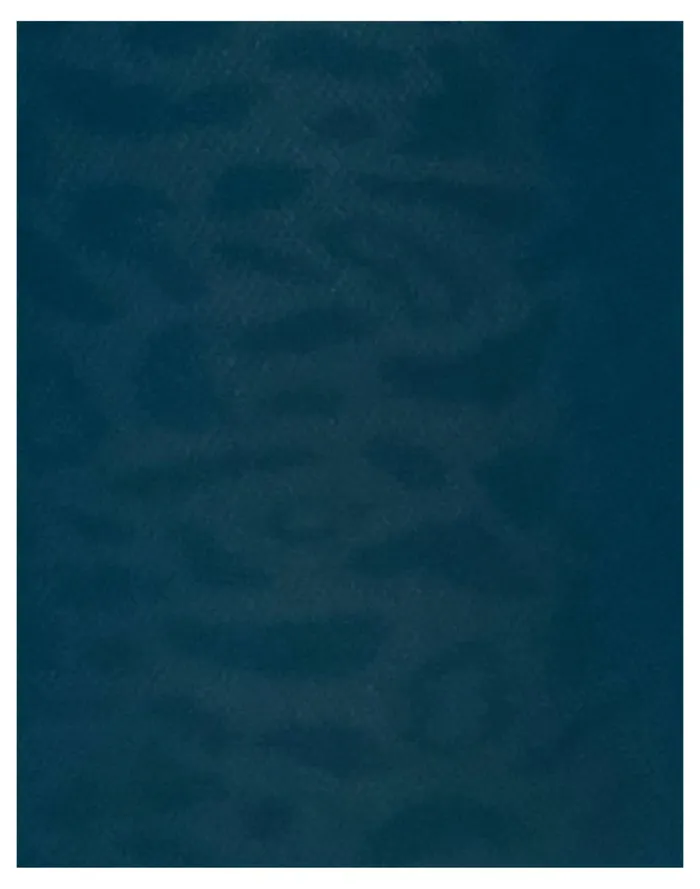 Women Swedish Stockings Emma Leopard Socks Blue Madewell Socks Women Swedish Stockings Emma Leopard Socks Blue Madewell Socks